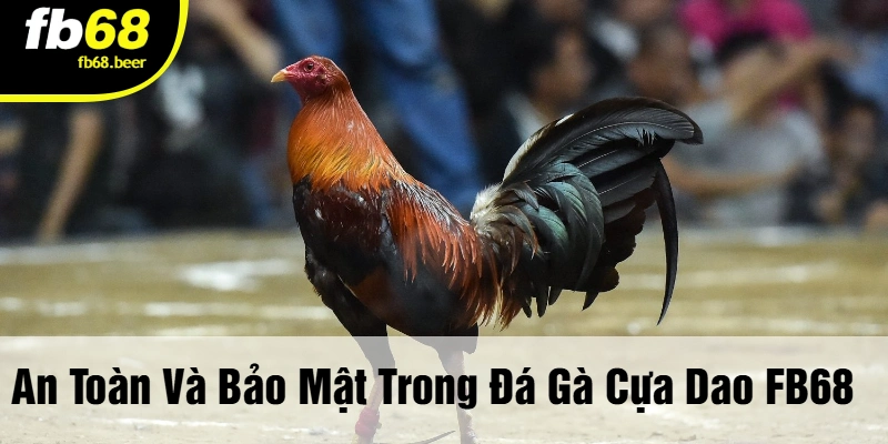 An Toàn Và Bảo Mật Trong Đá Gà Cựa Dao FB68