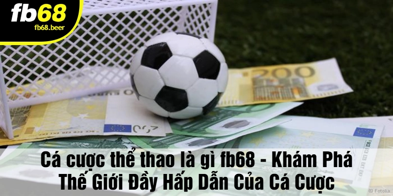 Cá cược thể thao là gì - Sự tỉnh táo và lý trí là những yếu tố quan trọng nhất.