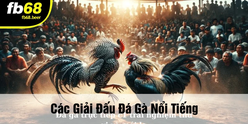 Các Giải Đấu Đá Gà Nổi Tiếng