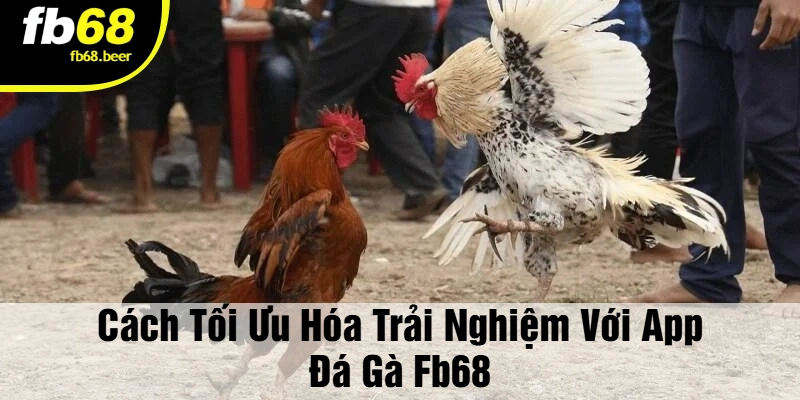 Cách Tối Ưu Hóa Trải Nghiệm Với App Đá Gà FB68