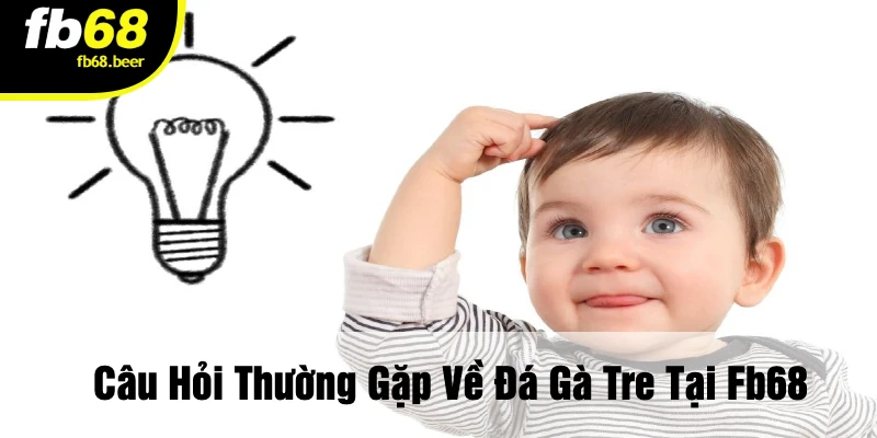 Câu hỏi thường gặp về đá gà tre tại FB68