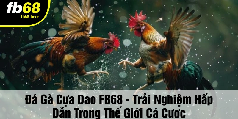 Đá Gà Cựa Dao – Kịch tính từng cú đá, mãn nhãn từng giây!