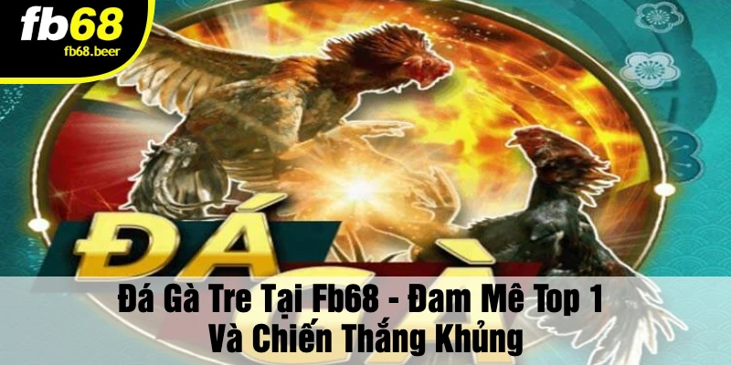Đá Gà Tre – Thần kê lâm trận, kịch tính từng cú đá!
