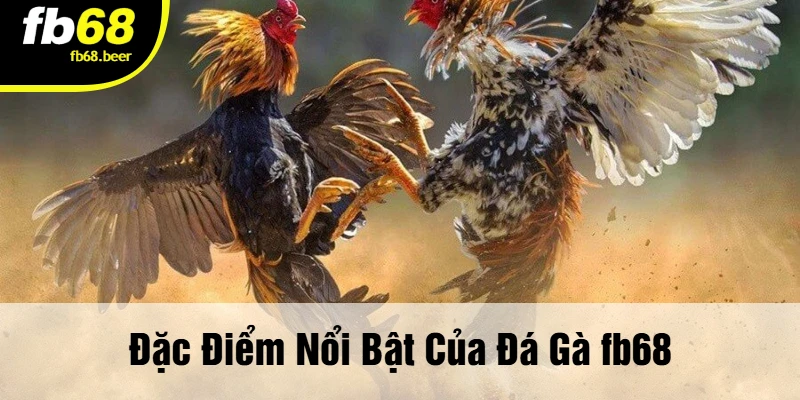 Đặc Điểm Nổi Bật Của Đá Gà Fb68