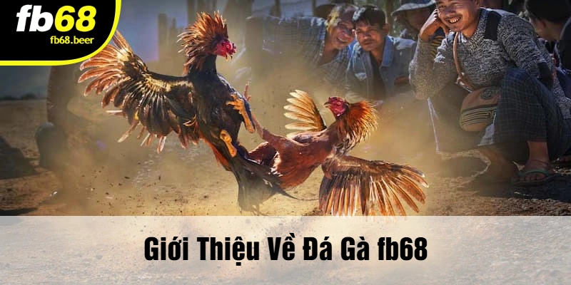 Giới Thiệu Về Đá Gà Fb68