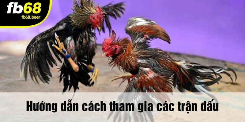 Hướng dẫn cách tham gia các trận đấu