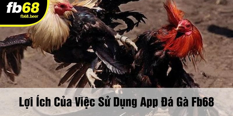 Lợi Ích Của Việc Sử Dụng App Đá Gà FB68