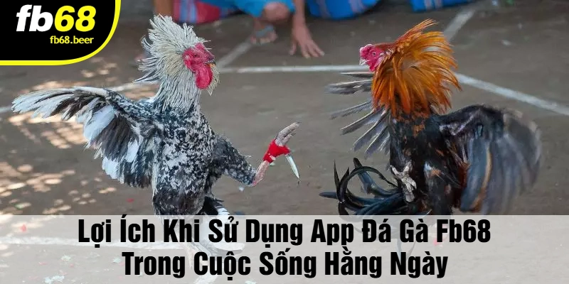 Lợi Ích Khi Sử Dụng App Đá Gà FB68 Trong Cuộc Sống Hằng Ngày