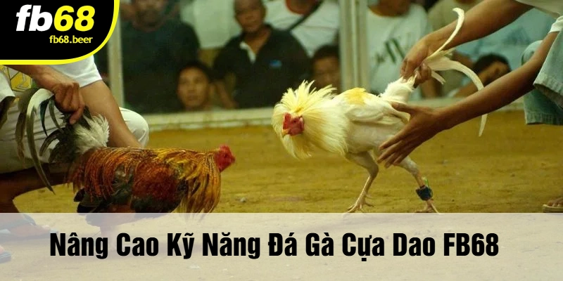 Nâng Cao Kỹ Năng Đá Gà Cựa Dao FB68