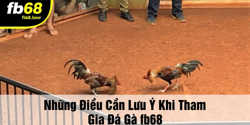 Những Điều Cần Lưu Ý Khi Tham Gia Đá Gà Fb68