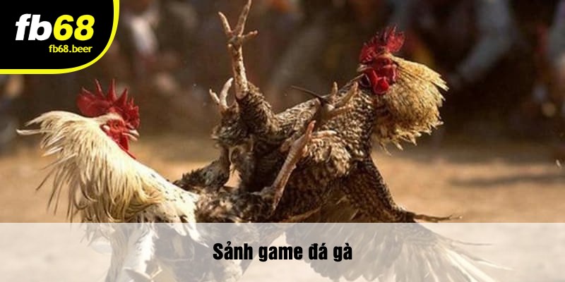 Sảnh game đá gà