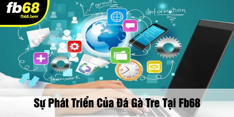 Sự Phát Triển Của Đá Gà Tre Tại FB68