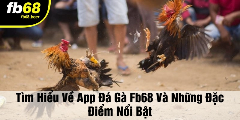 Tìm Hiểu Về App Đá Gà FB68 Và Những Đặc Điểm Nổi Bật