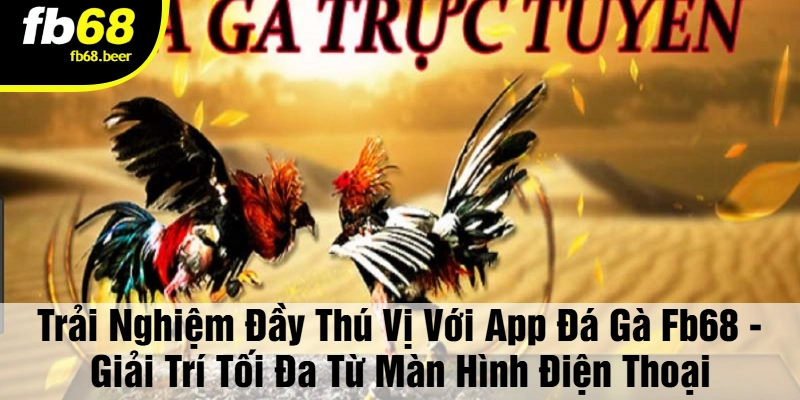 App đá gà FB68 - Những phút giây thú vị và kịch tính!