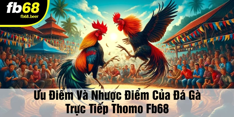 Ưu Điểm Và Nhược Điểm Của Đá Gà Trực Tiếp Thomo FB68
